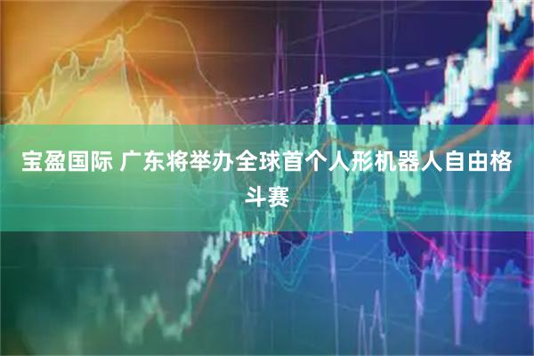 宝盈国际 广东将举办全球首个人形机器人自由格斗赛