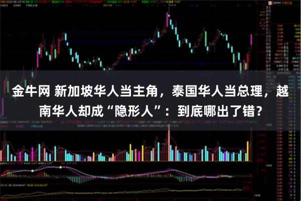金牛网 新加坡华人当主角，泰国华人当总理，越南华人却成“隐形人”：到底哪出了错？