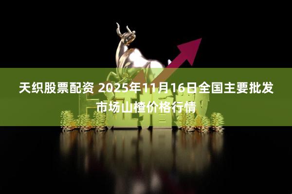 天织股票配资 2025年11月16日全国主要批发市场山楂价格行情
